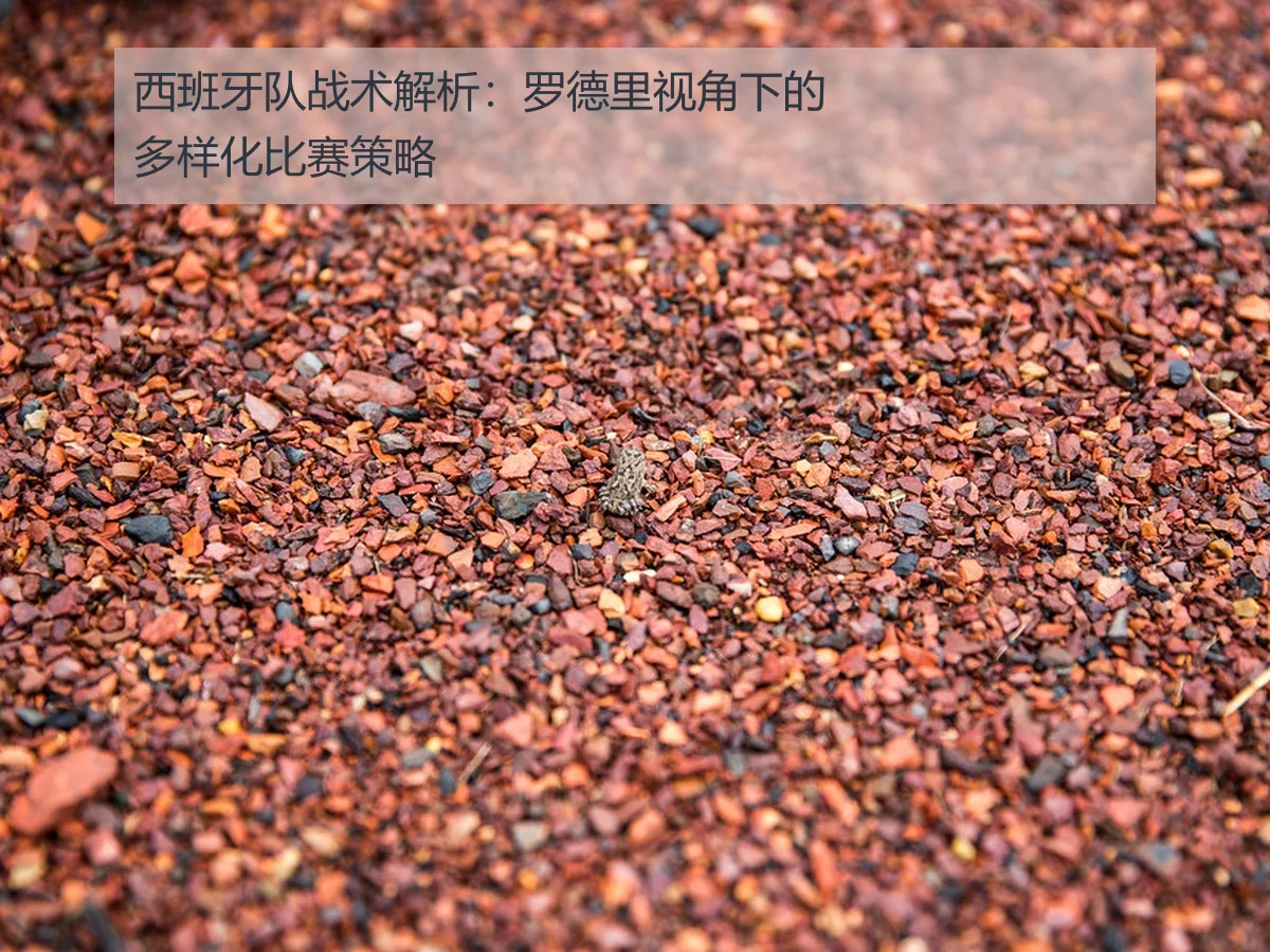 西班牙队战术解析:罗德里视角下的多样化比赛策略